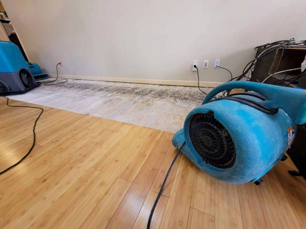 Professional Structural Drying technician working in Sinking Spring, PA